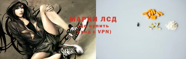 шишки Алзамай