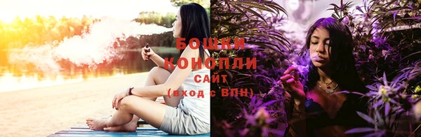шишки Алзамай